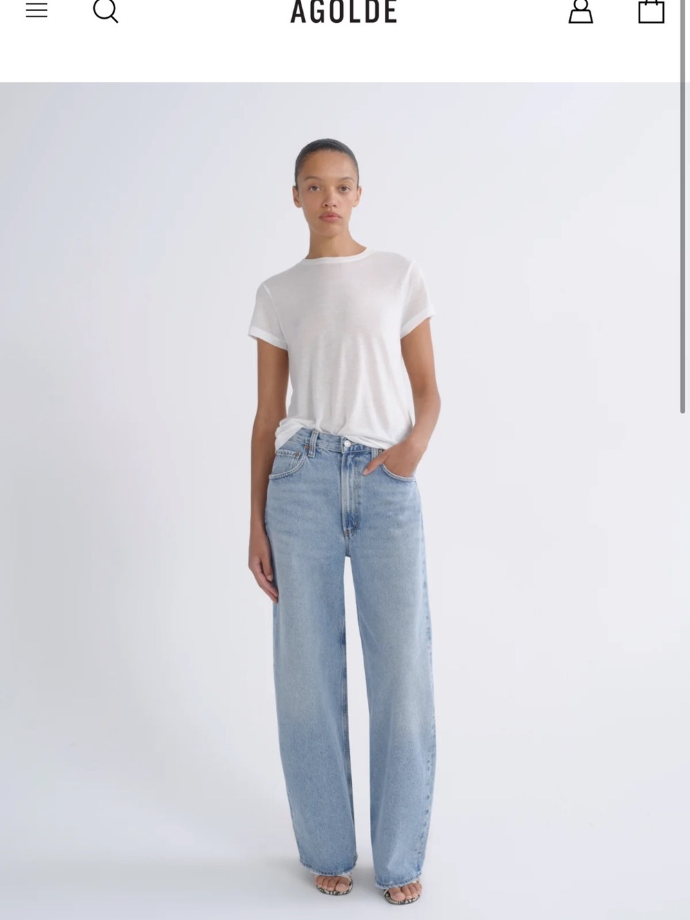 Agolde Low Curve Jean
